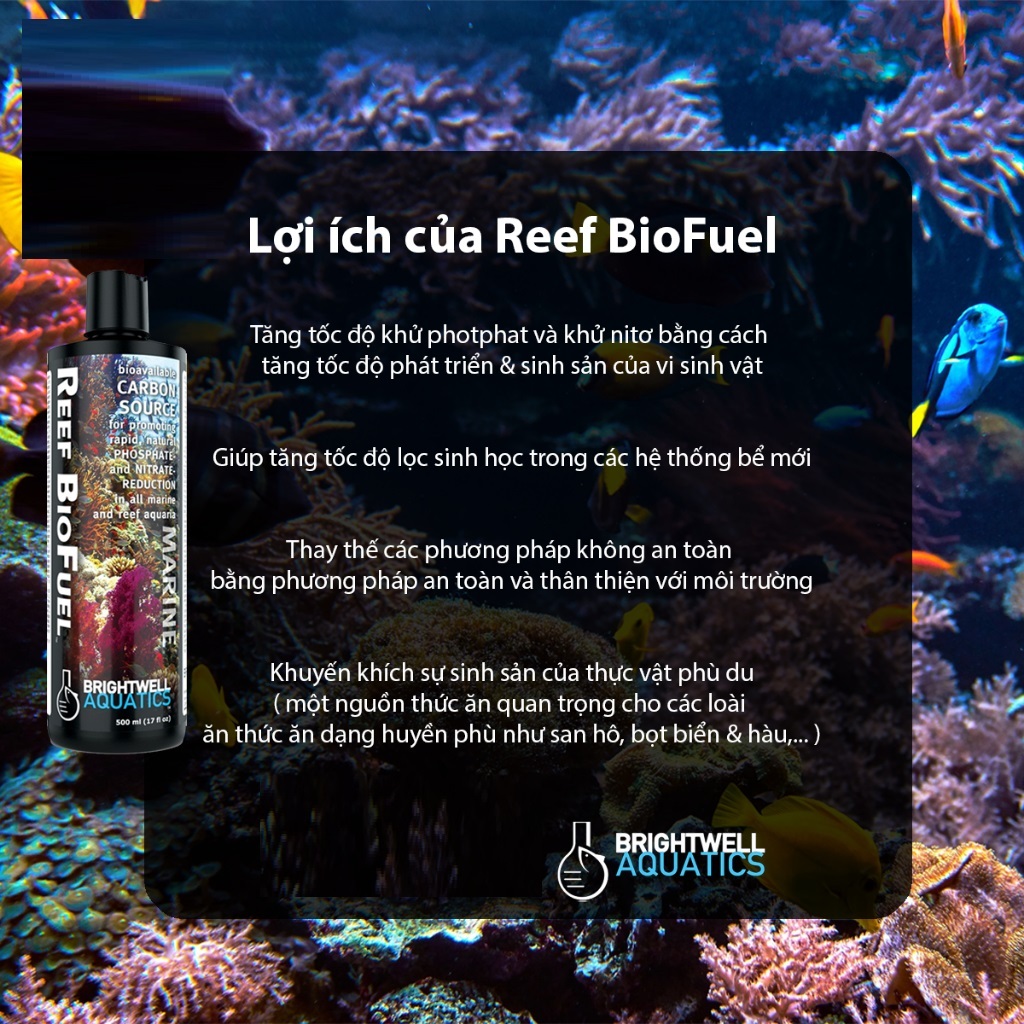 Vi sinh MicroBacter 7, thức ăn vi sinh Reef BioFuel và Vi sinh MICROBACTER CLEAN cho hồ cá biển, bể nước mặn