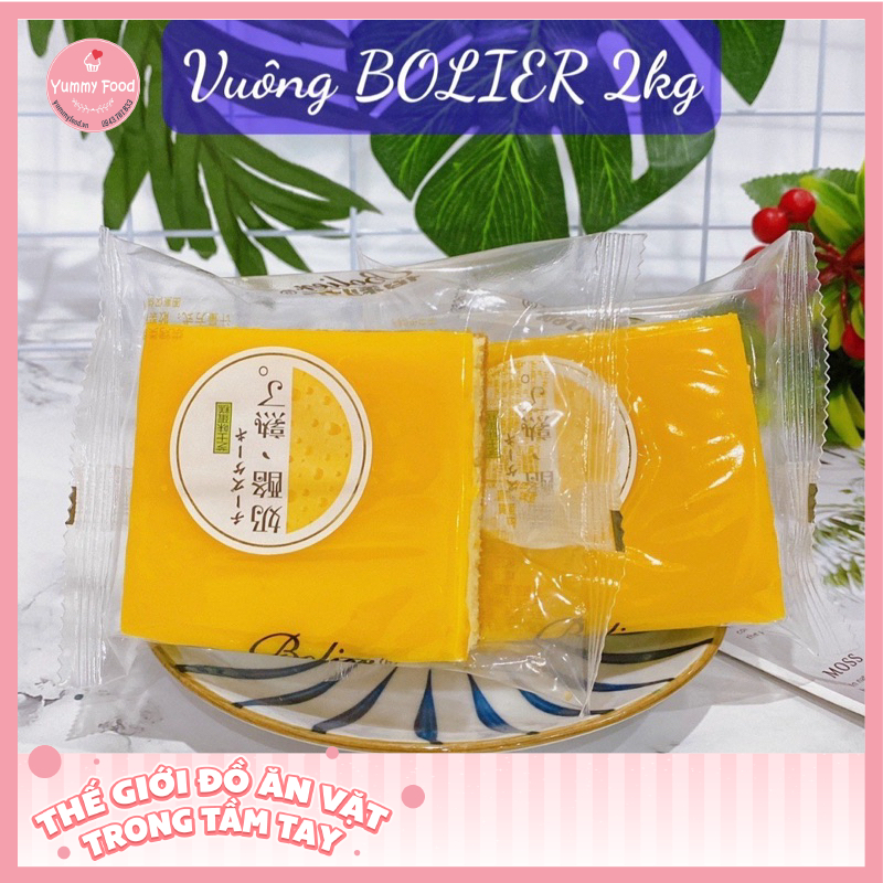 Bông lan vuông Bolier