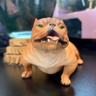 Mô hình động vật chó mặt nhăn