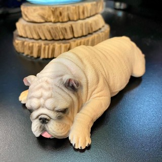 Mô hình động vật chó mặt nhăn