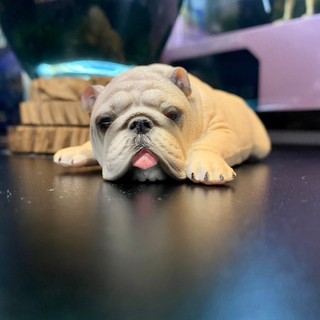 Mô hình động vật chó mặt nhăn