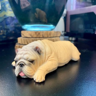 Mô hình động vật chó mặt nhăn