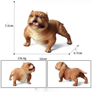 Mô hình động vật chó mặt nhăn