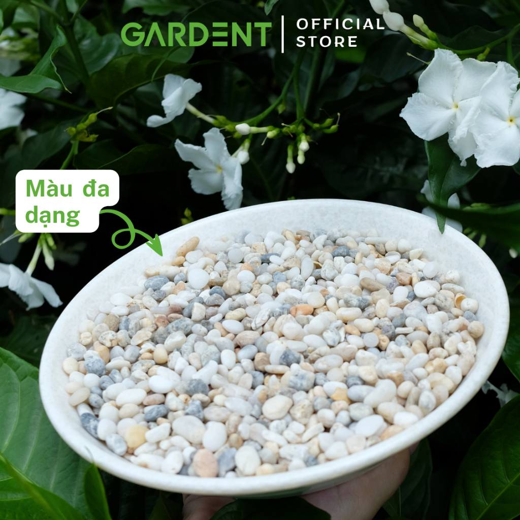 Sạn Biển Tự Nhiên GARDENT Sỏi Trang Trí Bể Cá, Trải Nền Thủy Sinh, Sân Vườn Trống Sen Đá Size 4-5mm Bao 1kg