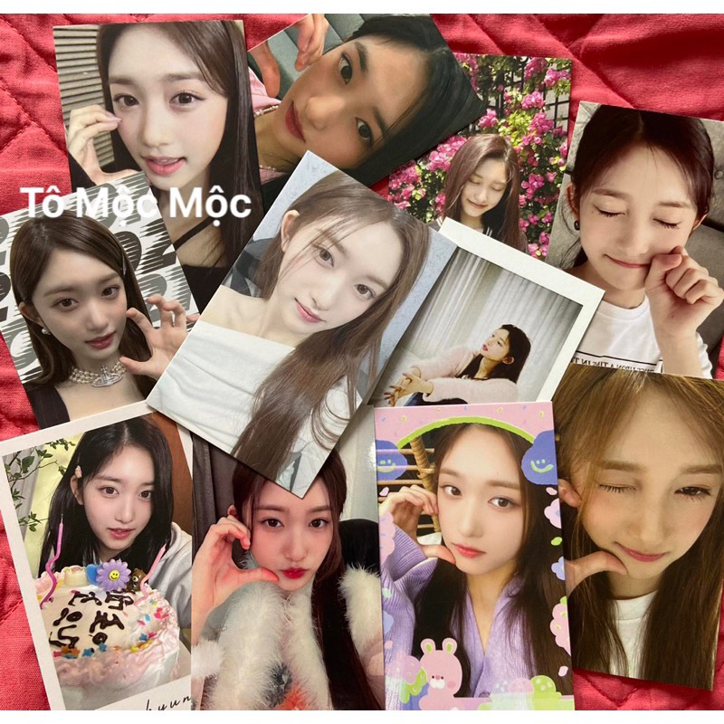 CARD DES IVE, Wonyoung