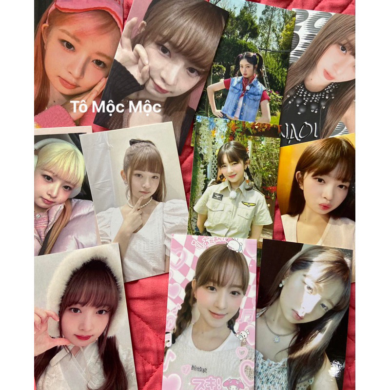 CARD DES IVE, Wonyoung