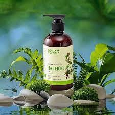 Dầu Gội Thảo Dược Hà Thủ Ô 2in1