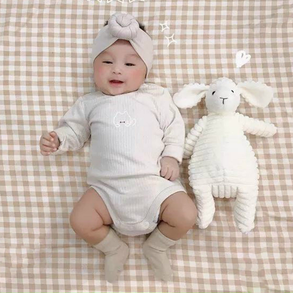 Gấu bông đáng yêu, cừu bông trắng cute