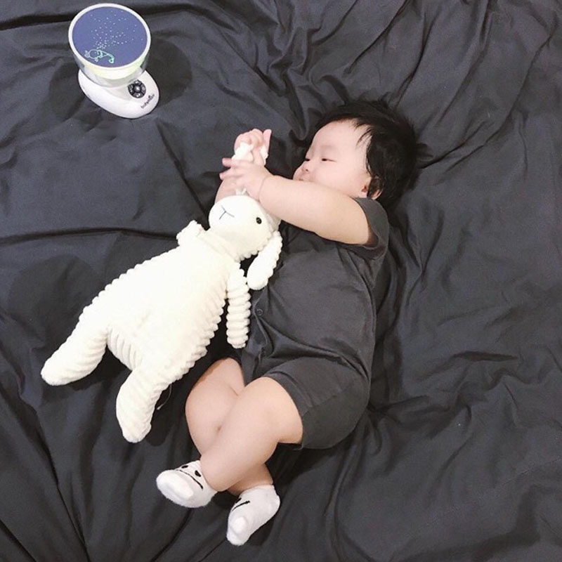 Gấu bông đáng yêu, cừu bông trắng cute