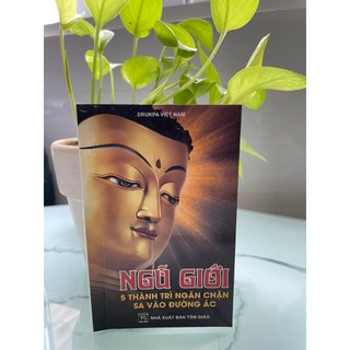 Sách - ngũ giới - 5 thành trì ngăn chặn sa vào đường ác