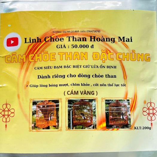 (CÁM VÀNG) LINH CHÒE THAN HOÀNG MAI