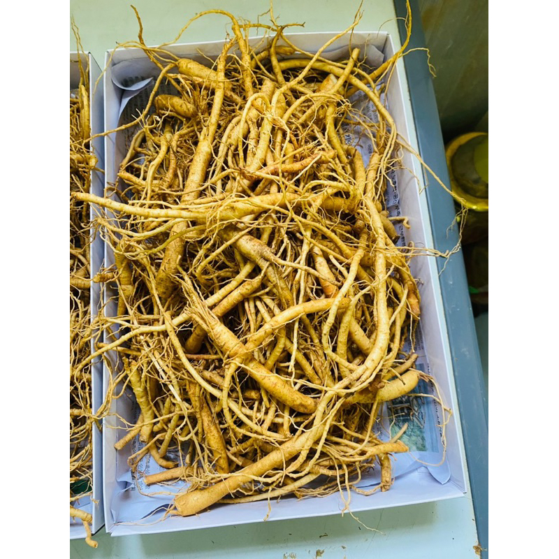 200gr Rễ Sâm Tươi Hàn Quốc Dùng Hầm Gà, Nấu Sup, Hãm Trà