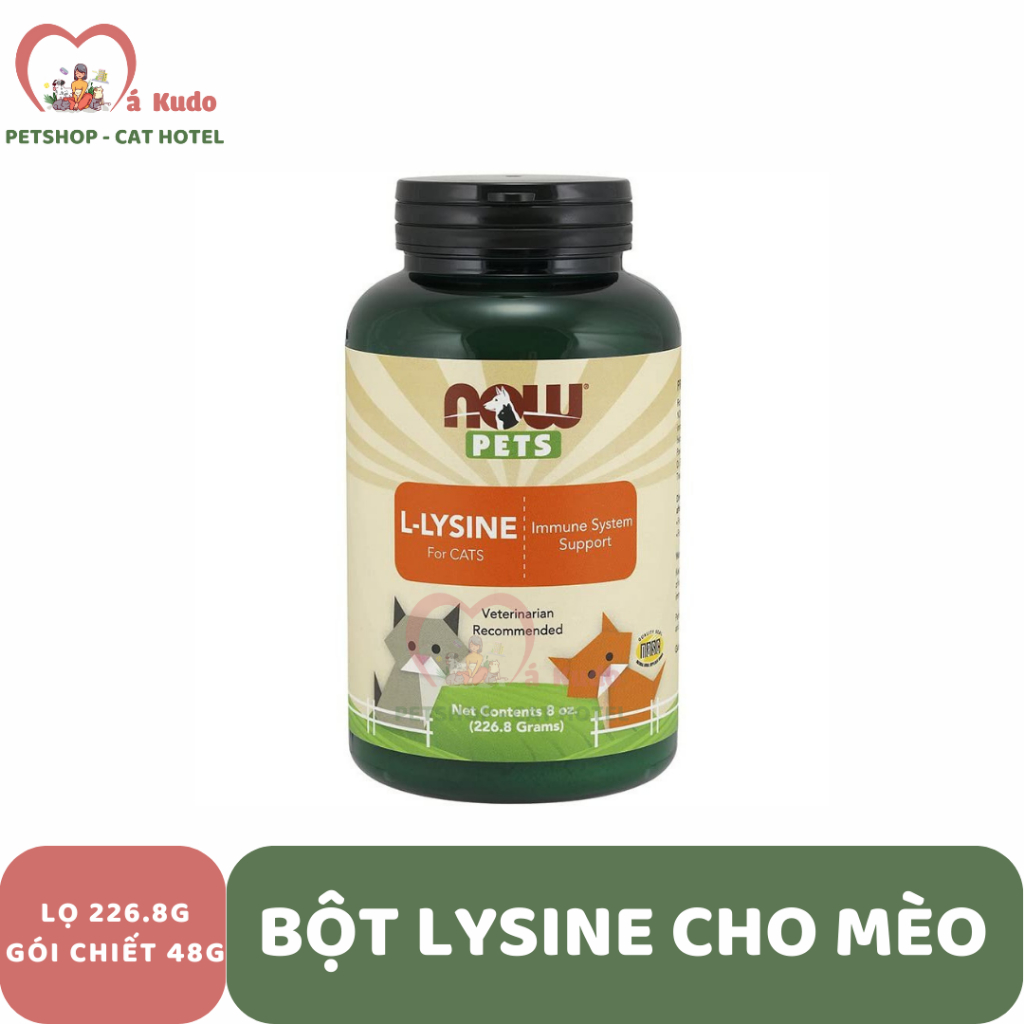 L-LYSINE Now Pets