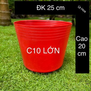Chậu c10 lớn đỏ trồng hoa vạn thọ tết