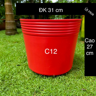 Chậu nhựa Đỏ C12 trồng hoa vạn thọ, hoa hướng dương Tết