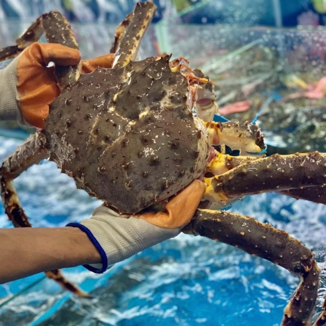 Cua Hoàng Đế size 1.5-2kg-King Crab nhập khẩu tại hồ  Làng Hải Sản Mix-Official
