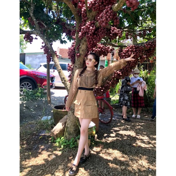 LILAC- Set áo đan len tay dài phối chân váy túi hộp