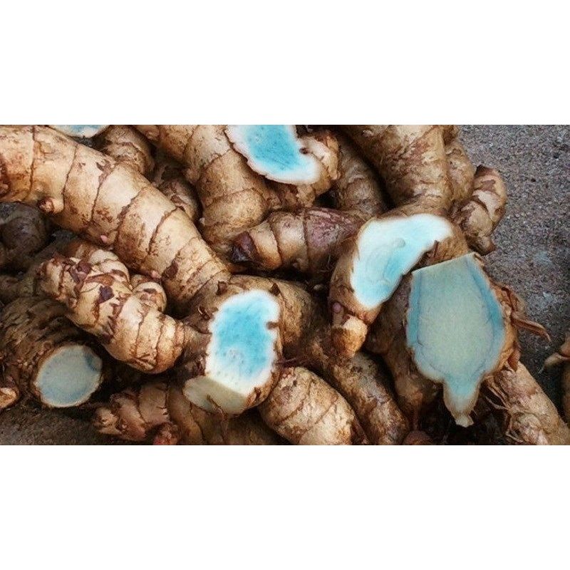 Combo 2kg củ nghệ đen tươi