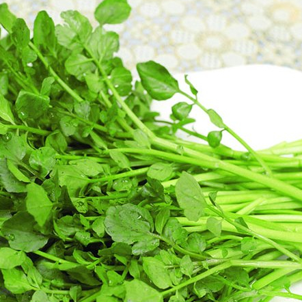 Hạt giống Rau Xà lách  Xoong Mỹ  hàng chính hãng công ty đóng gói