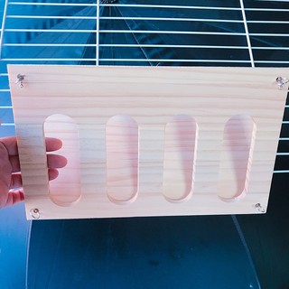 Máng Cỏ cho Thỏ, Bọ, Chinchilla