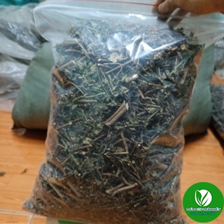 Cây Đuôi Chuột Khô   Cam kết hàng sạch đẹp