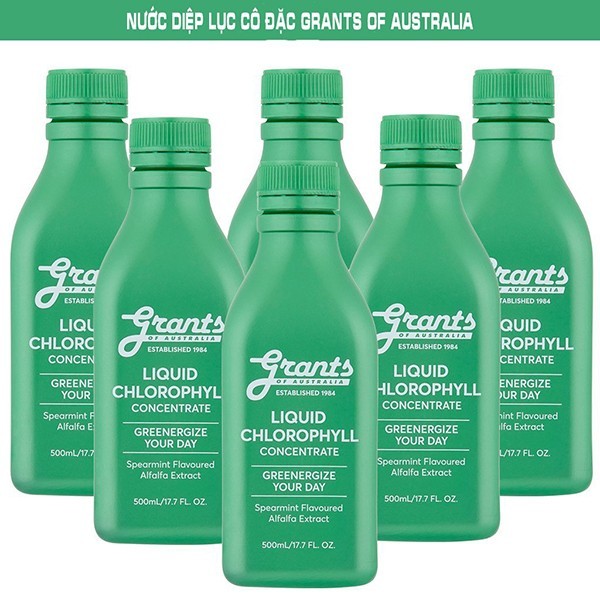 Combo 2 Nước Diệp Lục Cô Đặc Grants Liquid Chlorophyll Concentrate Làm Sáng Da Tăng Cường Sức Đề Kháng Thải Độc Gan 500m