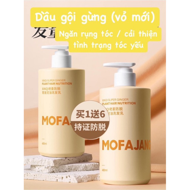 Dầu gội Mofajang các loại - chai to 480ml