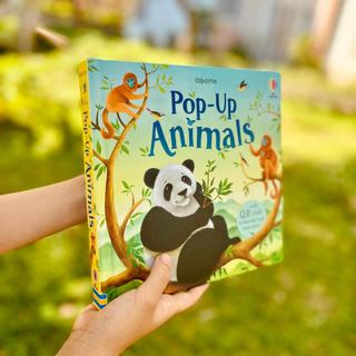 Usborne POP-UP ANIMALS Đồ  dạng 3D cho bé