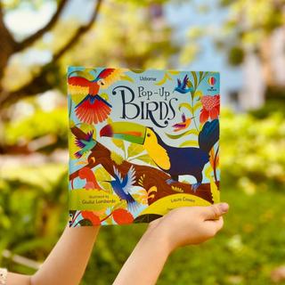 Usborne POP-UP BIRDS Đồ dạng 3D cho bé