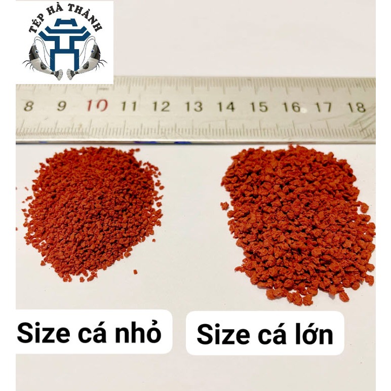 Thức Ăn Cá Cảnh Tăng Màu Multi Color Neon Chuyên Cho Dòng Cá Bé