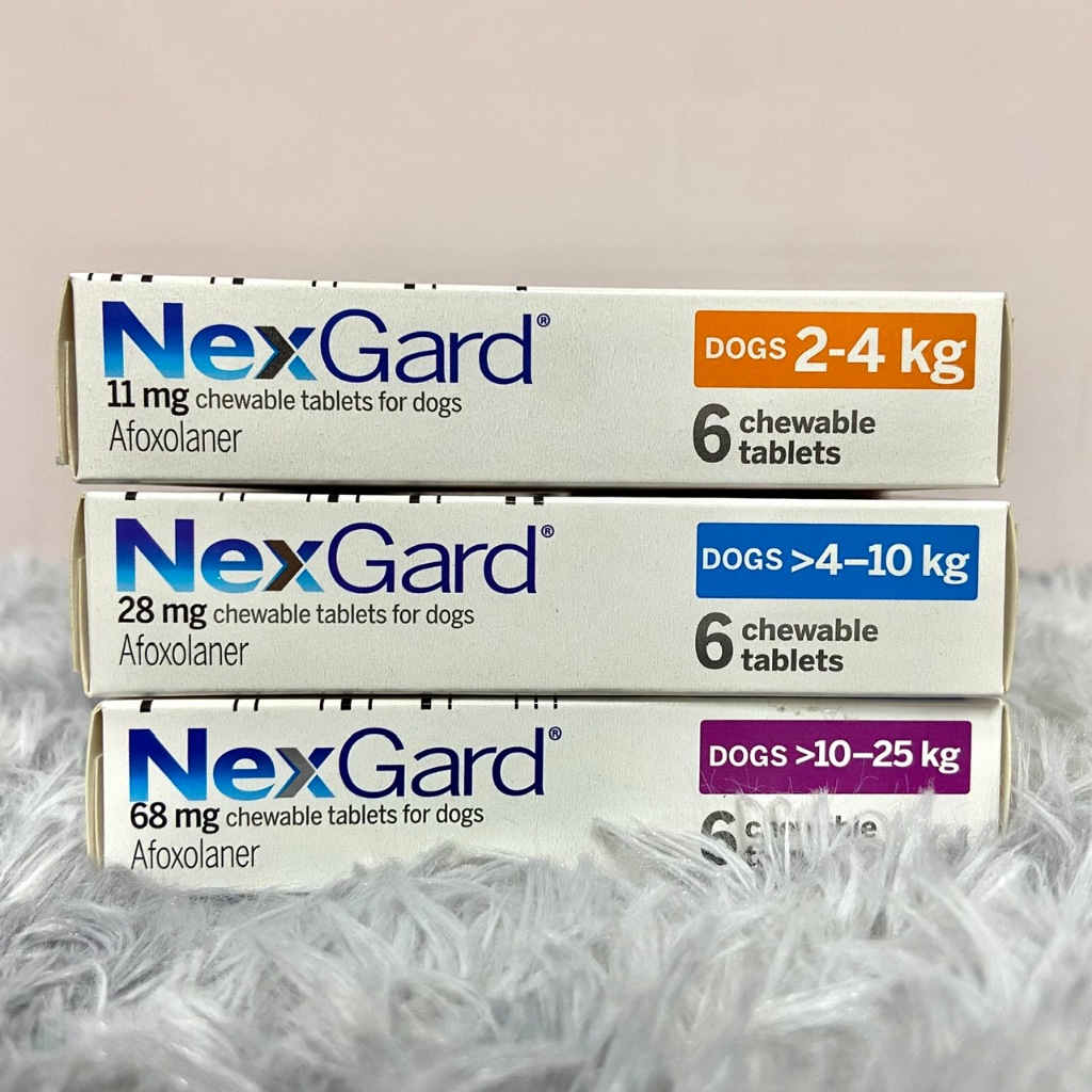 Viên Nhai NexGard T.rị Ve, Bọ Chét & G.hẻ Cho Chó (Hộp 6 viên)