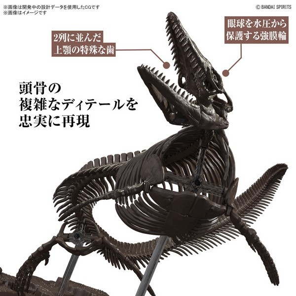 Mô Hình Lắp Ráp Bandai 1/32 Imaginary Skeleton Mosasaurus 4573102654281