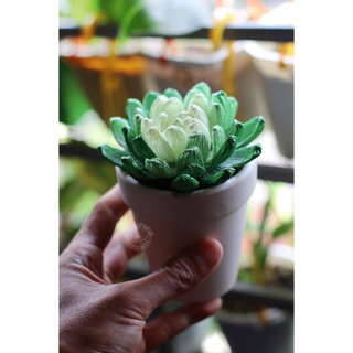 CHẬU HOA GIẤY - ĐẤT NUNG (màu trắng)