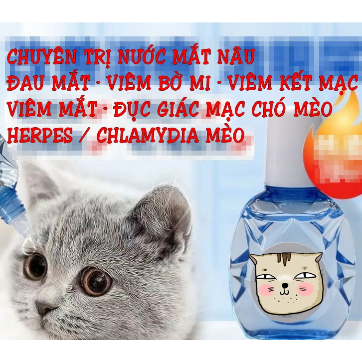 Nhỏ mắt mũi thần thánh hàng Nội địa Trung chó mèo đục giác mạc, viêm mắt, hô hấp sổ mũi Herpes mèo TracyAnna Cattery