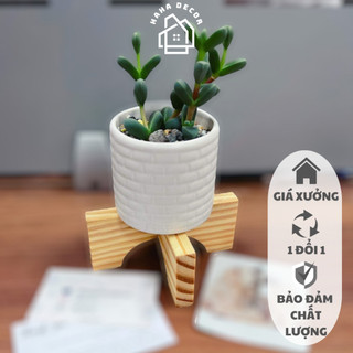 Đôn gỗ mini đặt cây cảnh - Decor cây cảnh CCG11