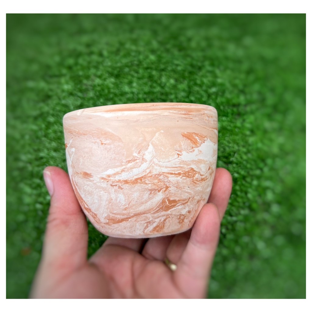 Chậu Đất Nung Ly Trứng - Trồng Xương Rồng , Sen Đá...