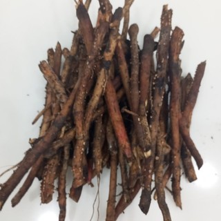 1kg rễ Cây Dừa tươi 1kg