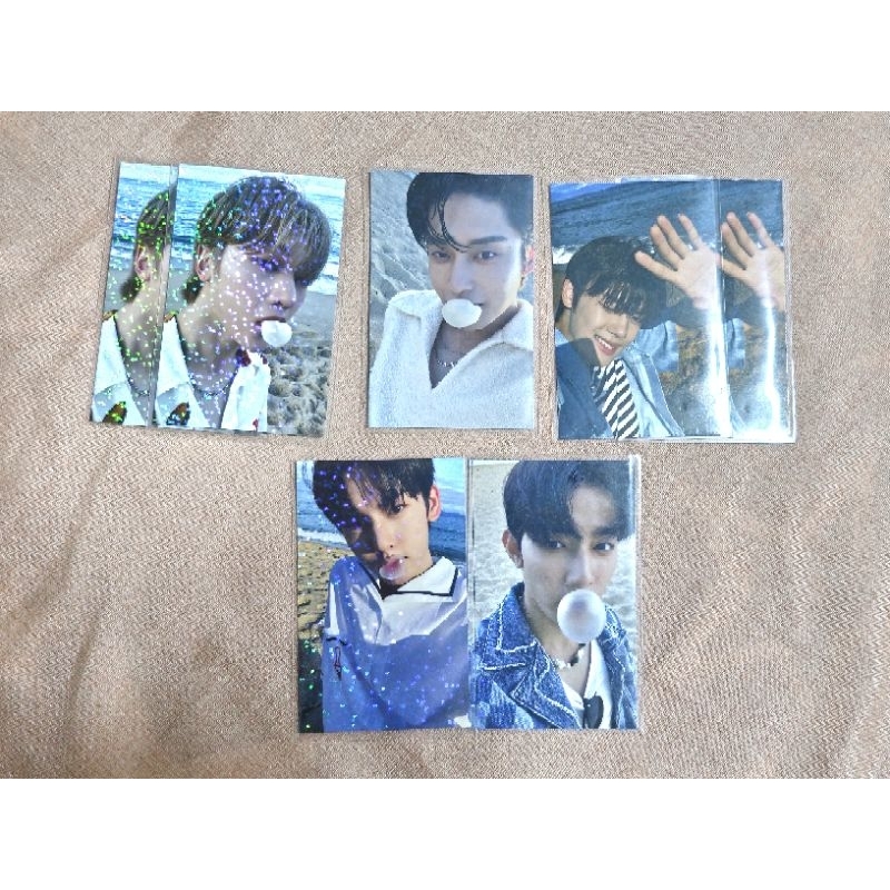 DICON TRADING CARD SET- THE BEACH BOY  ZB1