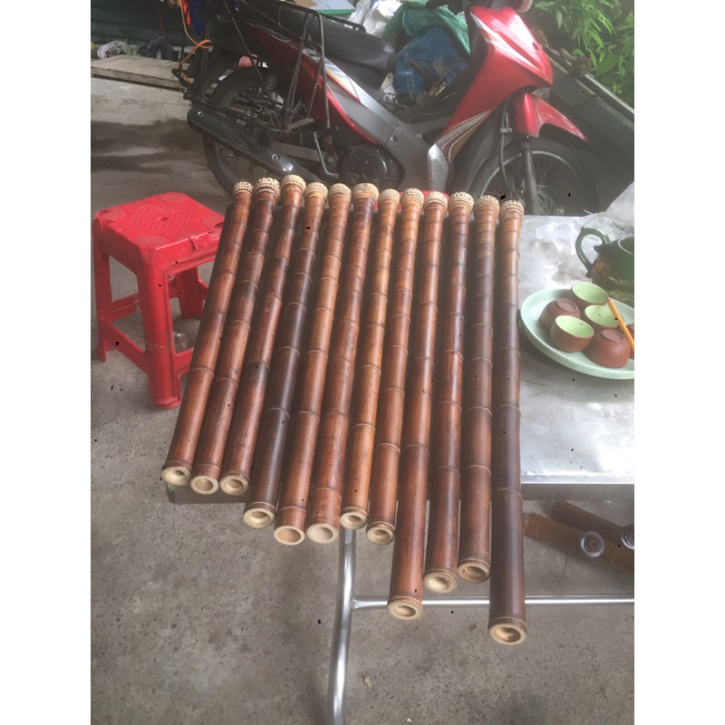 Phôi sáo tiêu gốc trúc hun