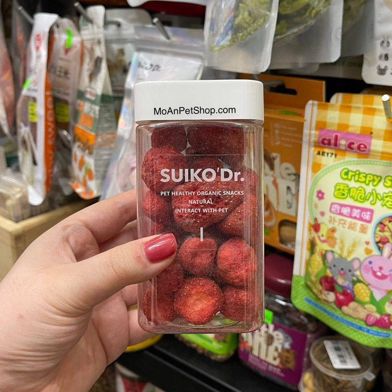 Snack Dâu Sấy 400ml cho Hamster | Thú Nhỏ