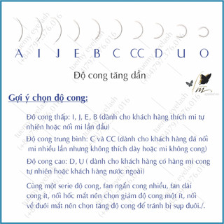 Nối Mi Dưới 0.20