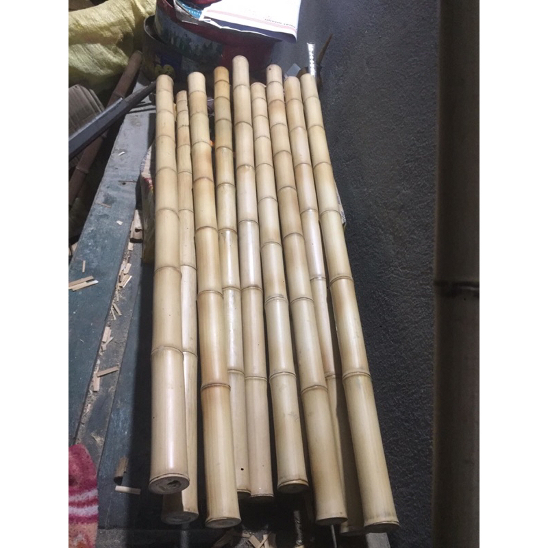 Phôi trúc Tiêu - Sáo mèo Nam