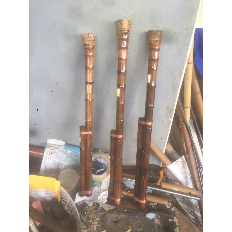 Sáo mèo kép gốc trúc hun