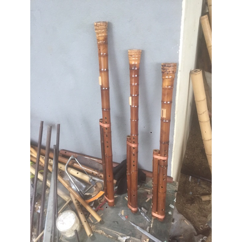 Sáo mèo kép gốc trúc hun