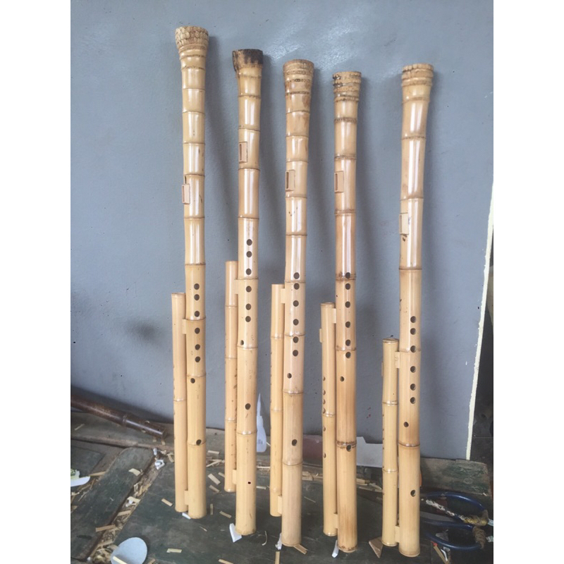 Sáo mèo kép gốc trúc trắng