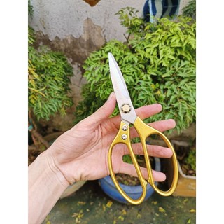 bộ dao kéo nhật bản làm bếp
