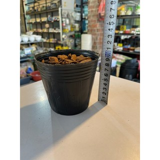 10kg bịch bầu ươm cây các kích thước