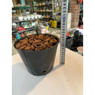 Set 5kg bịch bầu ươm cây các kích thước