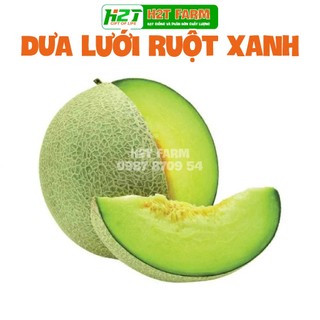 Hạt giống Dưa Lưới Ruột Xanh , dễ chăm sóc, trái to, thơm, ngọt
