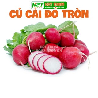 Hạt giống củ cải đỏ tròn baby 2gr cao